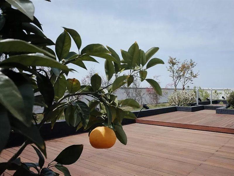 Hi Residences Jeju Exteriör bild